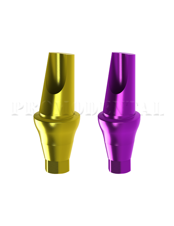 pilier-anatomique-angule-15-Pilier anatomique angule 15_.png